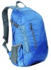 600D polyester backpack