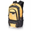 600D polyester backpack