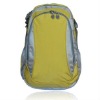 600D polyester backpack