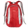 600D polyester backpack