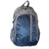 600D polyester backpack