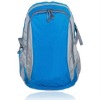 600D polyester backpack