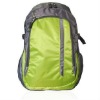 600D polyester backpack