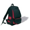 600D polyester backpack