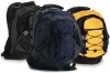 600D polyester backpack