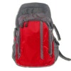 600D polyester backpack