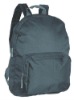 600D polyester backpack