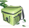 600D polyester green cooler bag for 6 cans