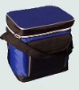 600D polyester picnic cooler bag