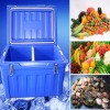 62L Camping Freezer Food Storage Boxes