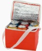 6can cooler bag for promotional