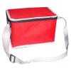 70D Nylon Cooler Bag