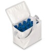 70D handy bottles cooler bag