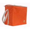 70D nylon cheaper cooler bag