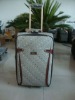 900D nice luggage case