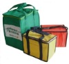 90G PP Non-woven Cooler Bag With Lenght Handle