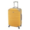 ABS Luggage/ABS Trolley Case