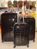 ABS/PC trolley bag set