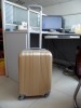 ABS luggage trolley (SR 8217)