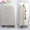 ABS +painting lightweight rolling suitcase trolley luggage