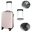 ABS trolley case