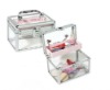 Acrylic Luxury Vanity Case