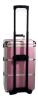 Aluminium Trolley Case in Striking Ribbed Pink