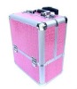 Aluminum Pink Makeup Cro Trolley Case