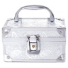 Aluminum silver cosmetic case RZ-HZ2011-16