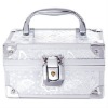 Aluminum silver cosmetic case RZ-HZX-41