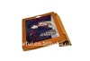 BF-IP004A 2012 hot sales case for ipad 2