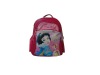 Backpack with superior quality and streamline design