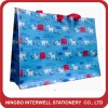 Banner promotional pp non woven bag