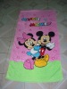 Beach Towel Bag