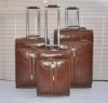 Beautiful design trolley luggage