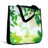 Beautyful Laminated Nonwoven Packing Bag (glt-a0214)