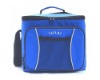 Big cooler bag