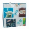Biodegrable Eco PP Woven Bags For Promotion(glt-w0105)