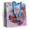 Biodegradable PP Woven Bag with Four Handles(glt-w0348)