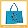 Biodegradable shopping pp woven bag