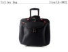 Black Luggage case