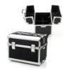 Black Makeup Beauty Case