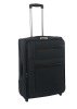 Black aluminum pole trolley case