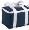 Blue 70D polyester Cooler bags just for 4 cans XF-1005