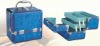 Blue Butterfly PVC Cosmetic Case