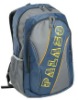 Blue Grey hiking Backpack