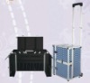 Blue line hair beauty case for hair fashion