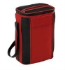 Bottle Cooler Bag