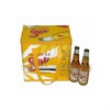 Bottle Cooler bag ( NV-D029)