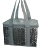 Bottle cooler bag